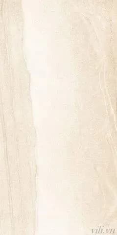 Gạch lát nền 60X120 INDIA BD 006 nhám