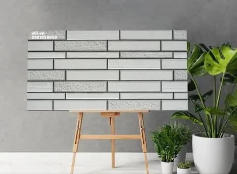 Gạch ốp tường trang trí 25X50 Dacera VH2501