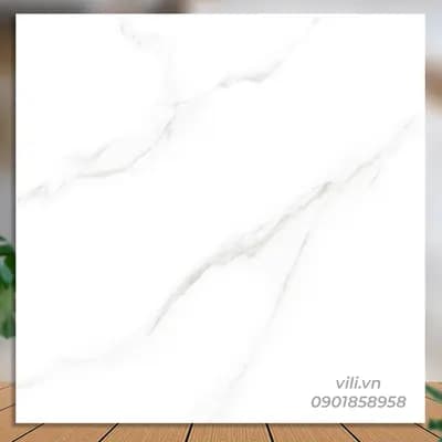 Gạch lát nền 60X60 Catalan 60086 đá bóng