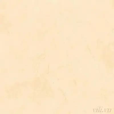 Gạch lát nền 100X100 cm BD 54006 đá Bóng
