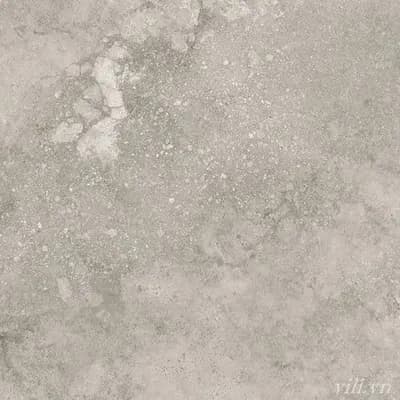 Gạch lát nền 60X60 Blue Dragon 11603 đá mờ