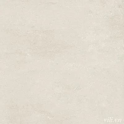 Gạch lát nền 60X60 Blue Dragon 11605 đá mờ