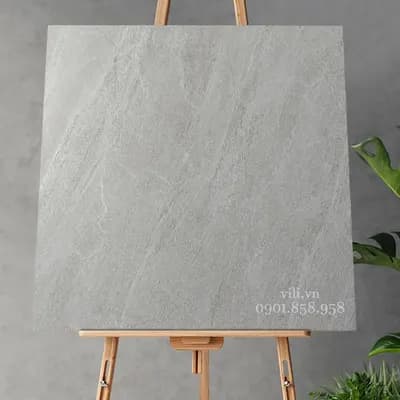 Gạch lát nền 60X60 Royal FL6010 đá mờ xám xi măng