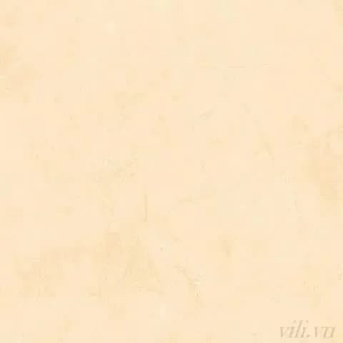 Gạch lát nền 100X100 cm BD 54006 đá Bóng