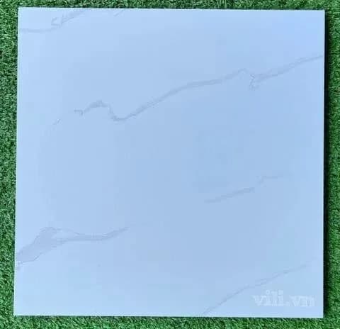 Gạch lát nền 30X30 Blue Dragon 11300 đá nhám