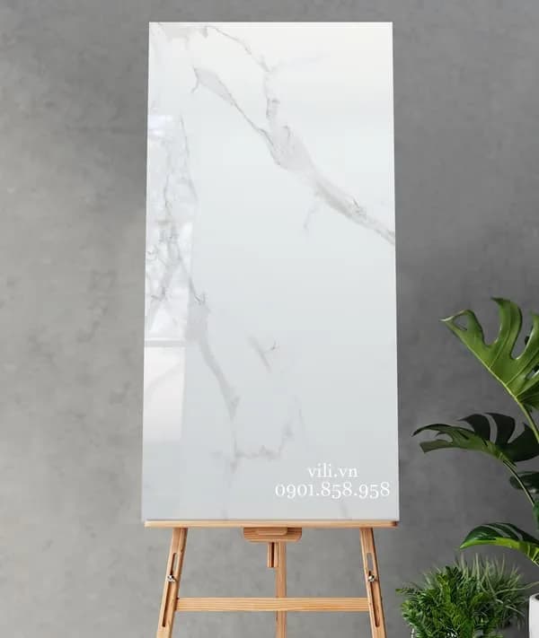 Gạch lát nền 60X120 FE12601 bóng cao cấp