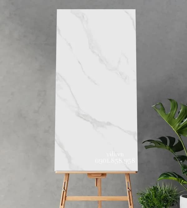 Gạch lát nền Felliz 60X120 FE61201 đá mờ matt