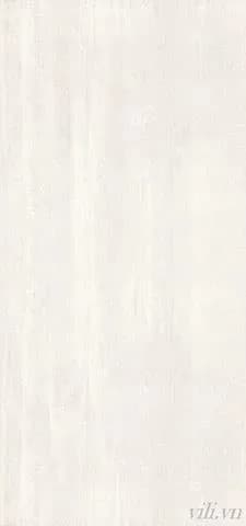 Gạch lát nền 60X120 INDIA BD 005 nhám