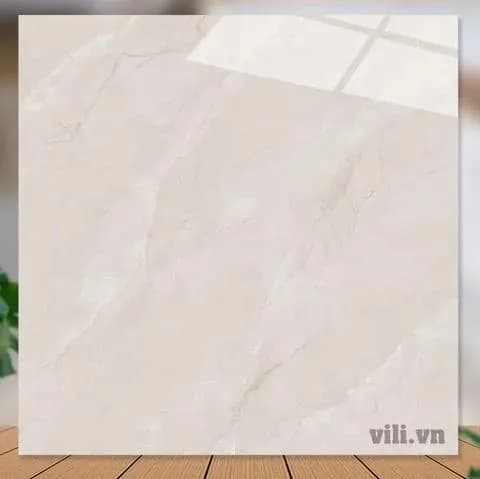 Gạch lát nền 60X60 Catalan 65011 đá bóng