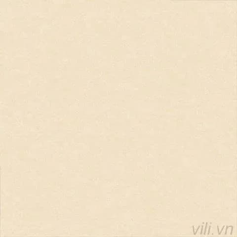 Gạch lát nền 60X60 Prime 9704 men mờ