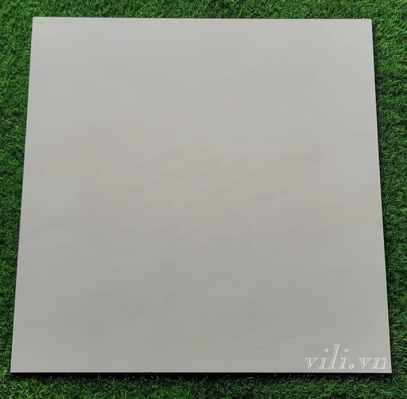 Gạch lát nền 80x 80 Trung Đô MQ8801 đá mờ